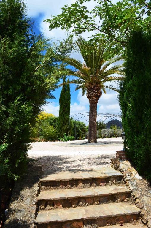 Cortijo Sabila Vendégház Villanueva del Rosario Kültér fotó