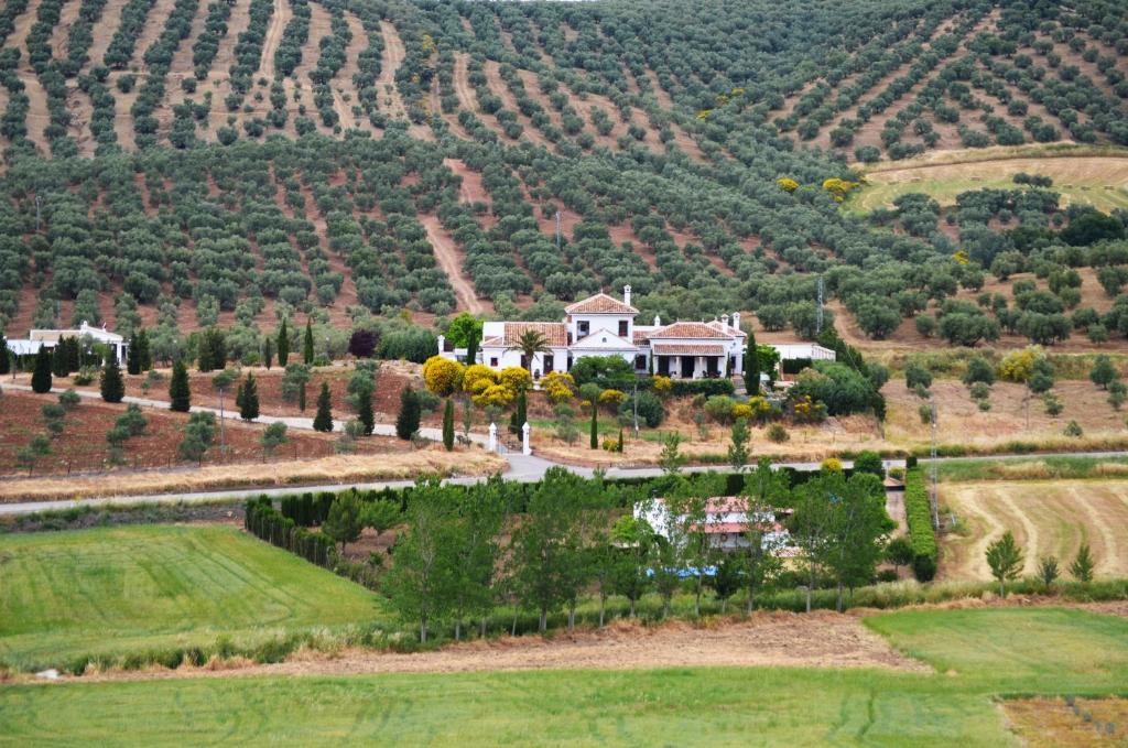 Cortijo Sabila Vendégház Villanueva del Rosario Kültér fotó